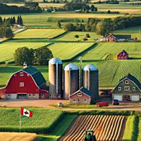 Foreign Investment in Canadian