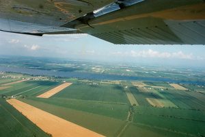 Organic farmland